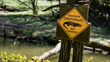 Police search for boy after suspected crocodile attack in Australia's Northern Territory