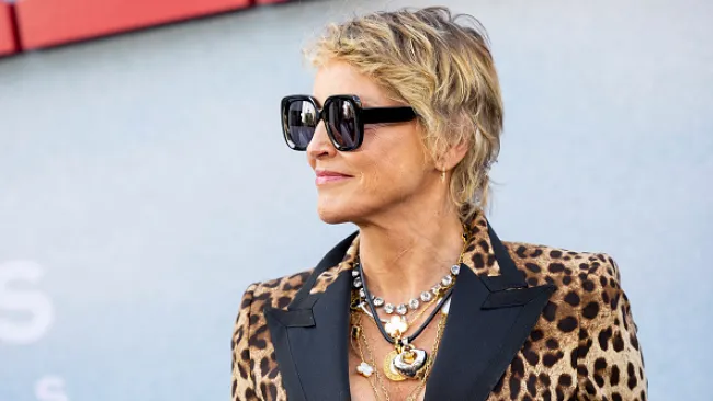 Sharon Stone lost £14,000,000 after her stroke to people ‘taking advantage’