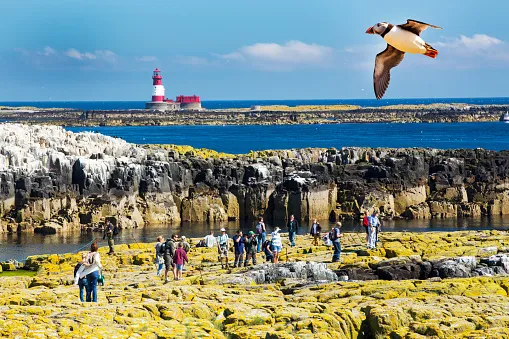 England’s best tourist experience is a £20 wildlife trip visitors are calling ‘paradise’