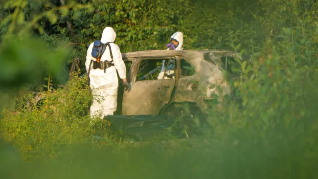 Two British men found dead in a burnt out car in Sweden were ‘shot in gangland hit’