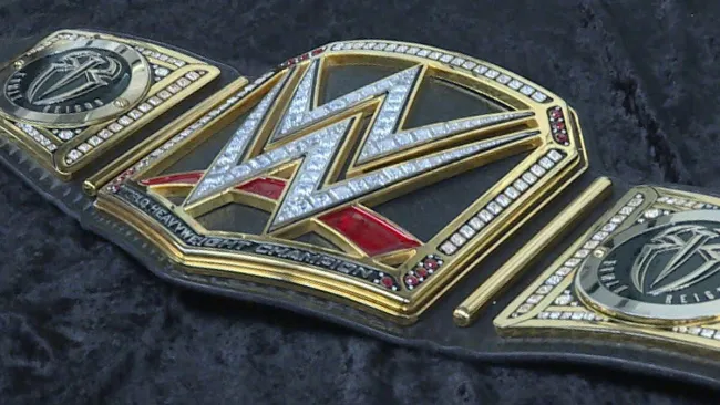 Former WWE Champion ‘removed from roster’ with future unclear 19 years after debut