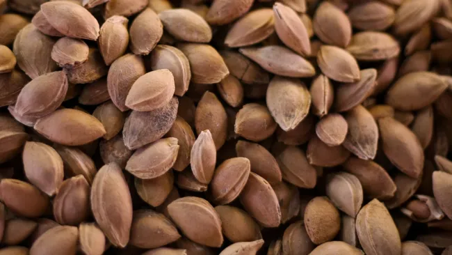 Popular nutty product recalled over fears they may release cyanide