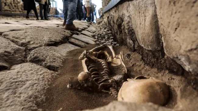 Inside the world’s creepiest McDonald’s — with human remains on display