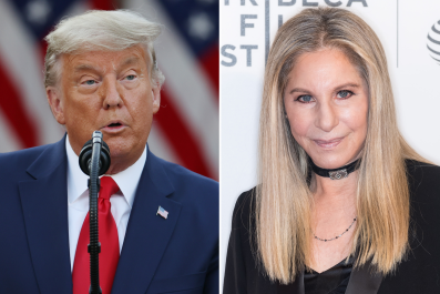 Barbra Streisand's Donald Trump 'Bragging' Post Takes Off Online