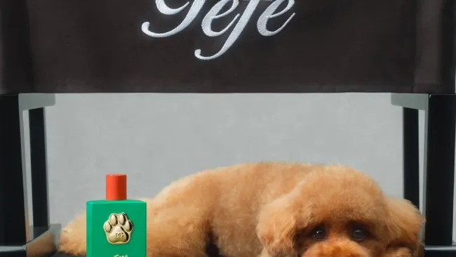 This luxury brand has just launched a perfume for dogs — with a 24-carat gold finish