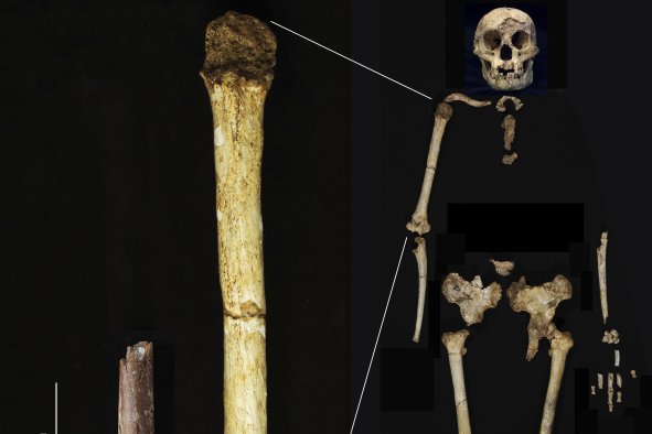 Study Sheds New Light on 'Hobbits' Who Lived 700,000 Years Ago