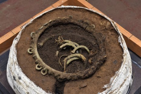 Scientists Unravel Secrets of Bronze Age Hoard Buried 3,000 Years Ago