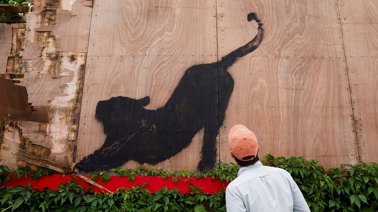 Banksy reveals cat piece - as he stretches run of new artworks to six in six days