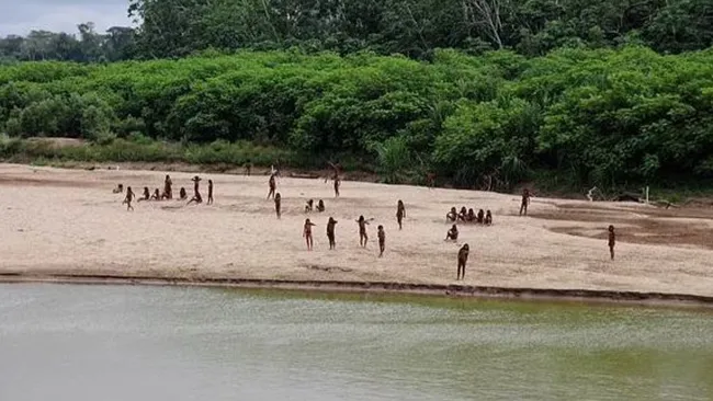 ‘Uncontacted’ Amazonian tribe fire arrows at loggers encroaching on their land