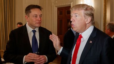 Donald Trump's chat with Elon Musk delayed due to 'massive DDOS attack'