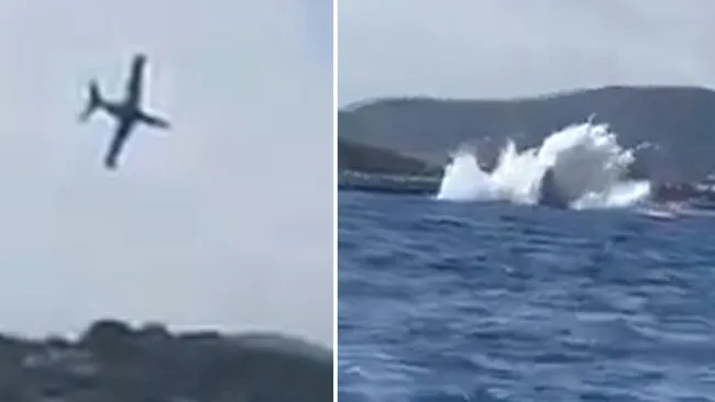 Pilot feared dead after plane crashes into sea in front of air show spectators