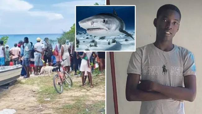 Boy, 16, decapitated by shark while diving by himself