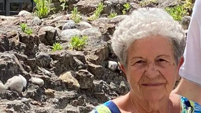 Grandma, 89, lost in Alps for five days survives by befriending fox