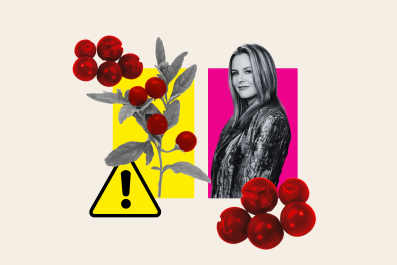 Fact Check: Was Alicia Silverstone in Danger After Eating Toxic Fruit?