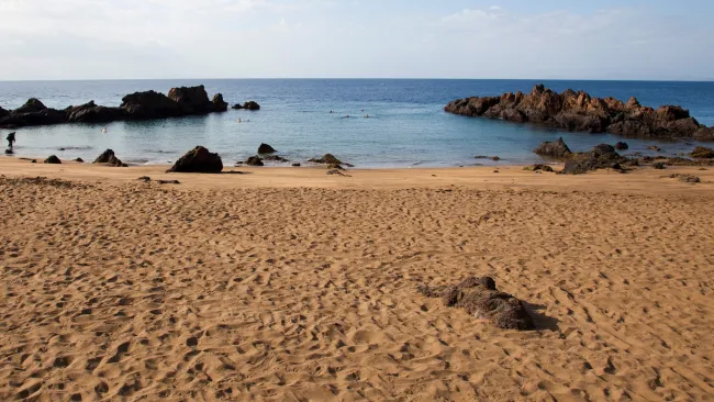 British tourist drowns during scuba dive off popular beach