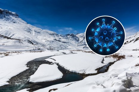 More Than 1,000 Viruses Unknown to Science Found in Melting Ice