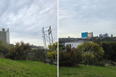 Resident Illegally Chops Tree for Better ViewâOfficials Plan Genius Revenge