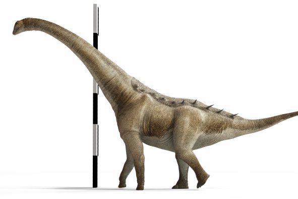 Dinosaurs: New 65-Feet-Long Species Discovered That Was Among 'Last Giants'