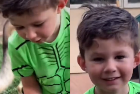 Four-Year-Old Boy Says Funniest Thing About Fresh Limes: 'Won at Parenting'