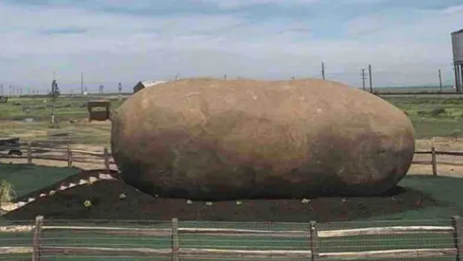 Potato lovers can now spend the night inside a giant spud for £145 (no, we’re not kidding)