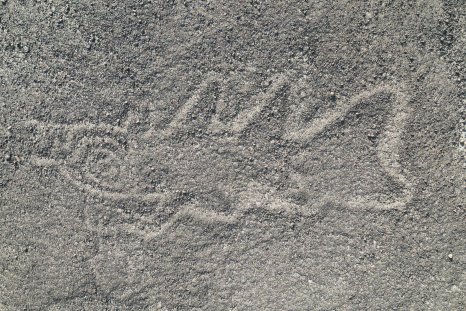 Hundreds of Mysterious Ancient Nazca Land Artworks Found with Aid of AI