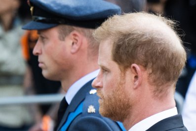 Prince Harry and William's Brotherly Love Moments Caught on Camera