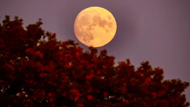 When is the next full moon? October 2024’s Hunter’s Moon is almost here