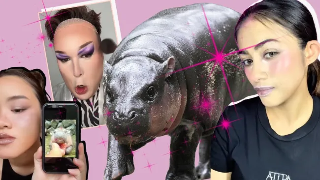 What is the Moo Deng beauty trend? Why everyone wants to be rose-cheeked hippo