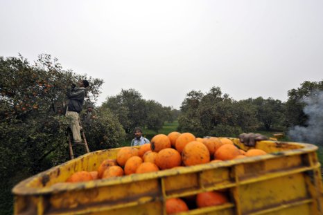 Russia Getting Paid in Oranges in Trade Barter with Asian Ally