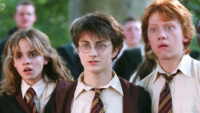 Oscar-nominee reveals she lost out on huge Harry Potter role after failed audition